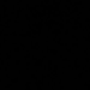 Meet your Posher, Gabrielle